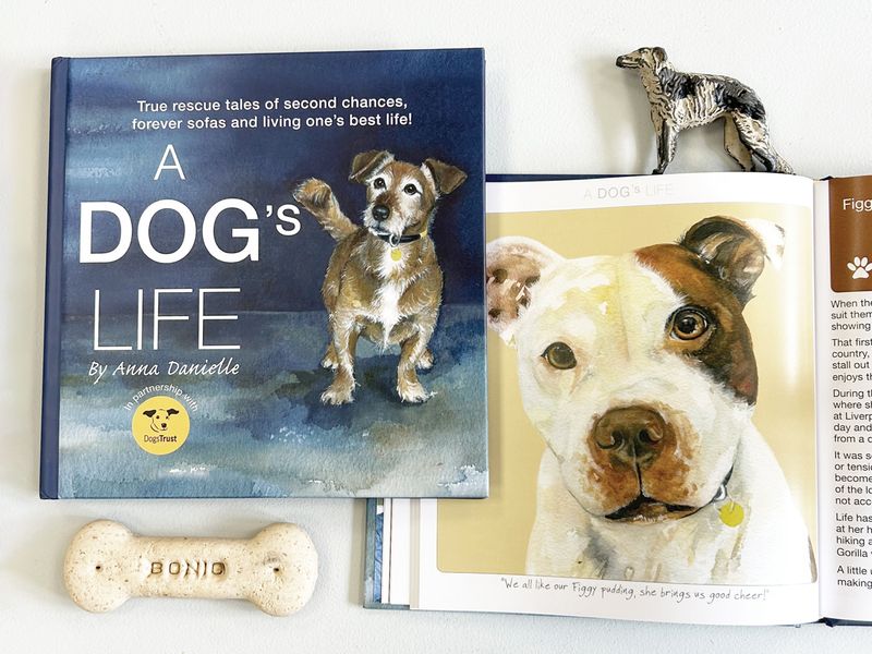 A flatlay showing the cover and inner pages of A Dog's Life, a collaborative book from Dogs Trust and The Little Dog Laughed