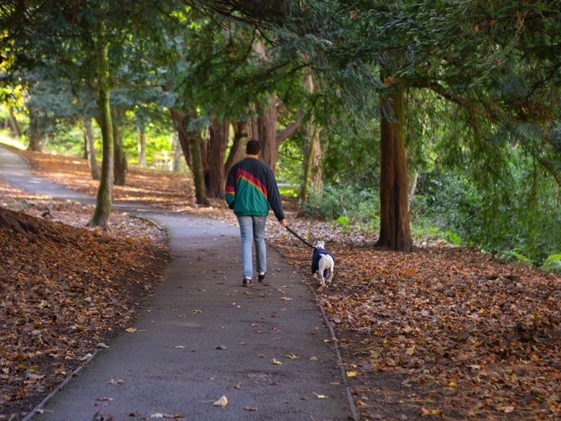 Charles and his dog Heidi walk through a park together.