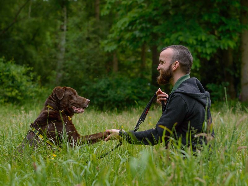 Dexter giving a paw at Kenilworth