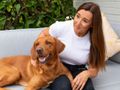Freedom from domestic abuse for dogs and their owners