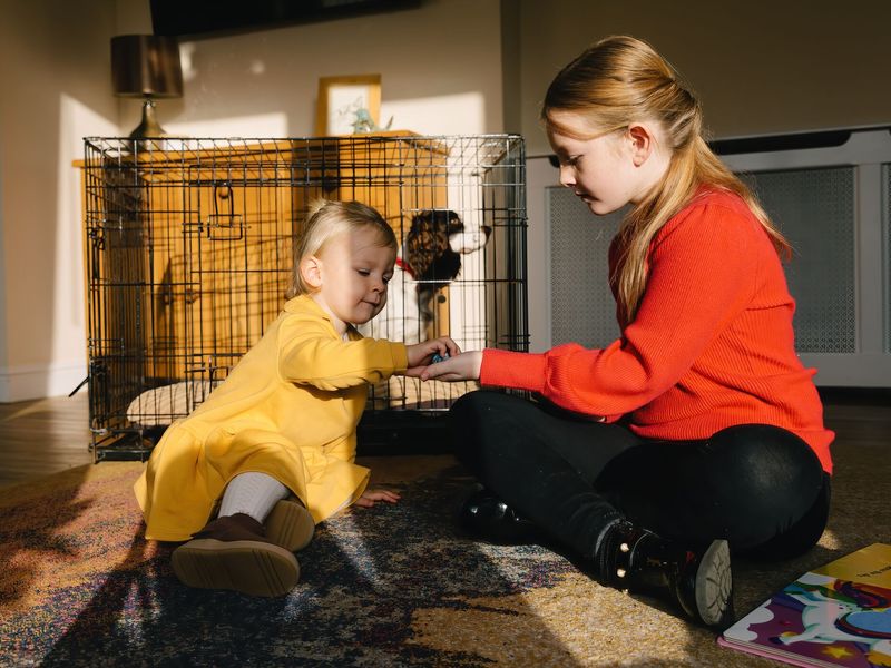 two children playing on the living room sofa whilst a spaniel dog sits in a dog crate behind