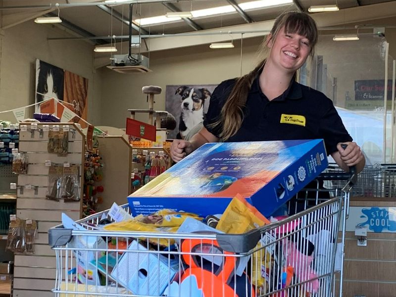 Smiling lady pushing a trolley full of pets at home dog items
