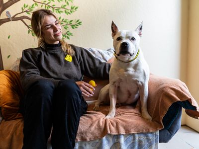 Oakfield Oldies dogs home: A one-of-a-kind happy place