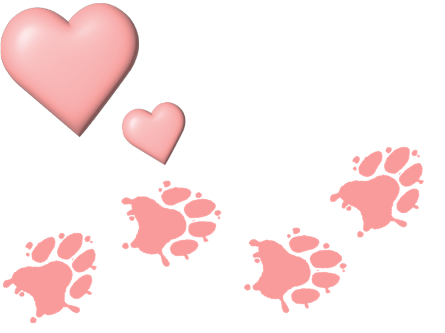 two 3-D pink heart graphics in the corner with 4 pink paw prints at the bottom of the image